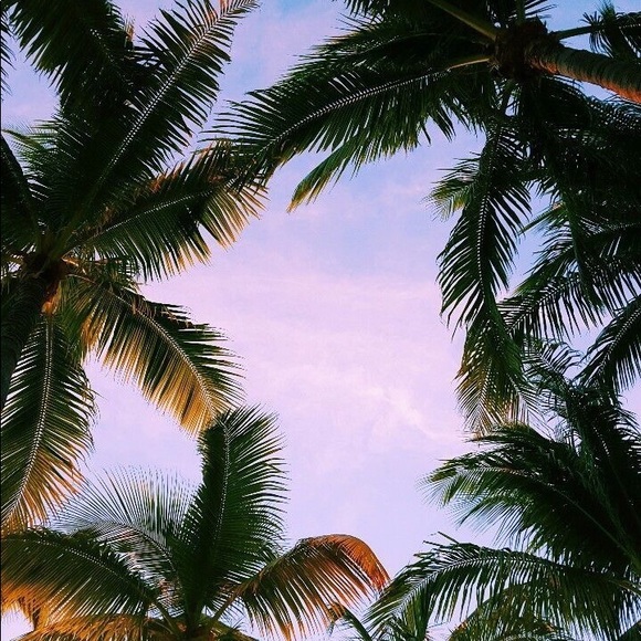 Meet your Posher, Brenda - Picture 1 of 1